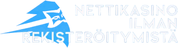 nettikasino-ilman-rekisteröitymistä.com logo